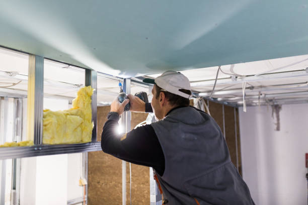 Best Residential Insulation Services  in Lake Secession, SC