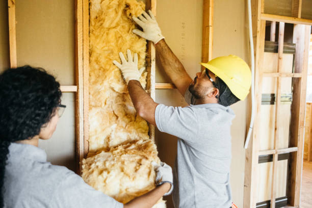 Best Blown-in Insulation  in Lake Secession, SC